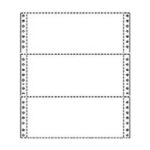 Computer Paper Payslips 2HP/VP 9.5"x11" 3 Part