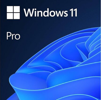windows-11-pro-license-key